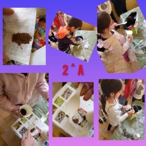 2f861be8-e3ed-4199-9b35-f6bd1d3948cb
