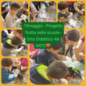 c08ae0c9-f040-4c3c-8c1a-5a2060d03c1a